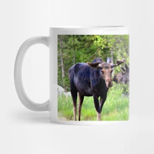 Young Moose Brothers Photograph Mug